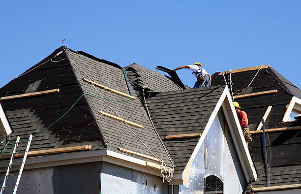 Roof Repair Estimates in Alamo, TX