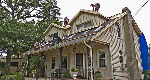 Gutter Installation and Roofing in Alamo, TX