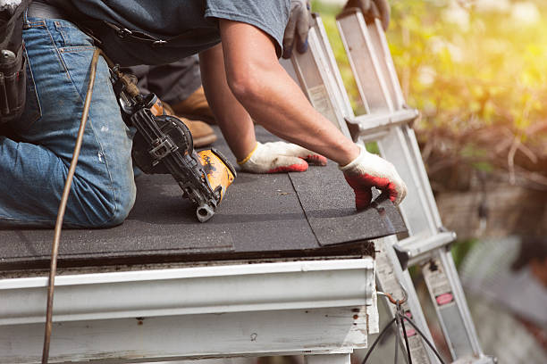 Quick and Trustworthy Emergency Roof Repair Services in Alamo, TX