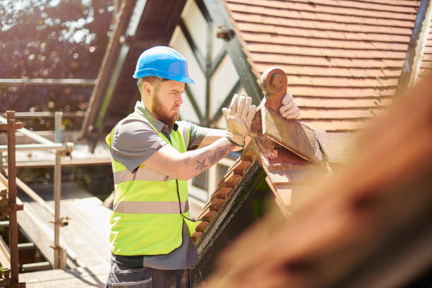 Professional Roofing Contractor in Alamo, TX